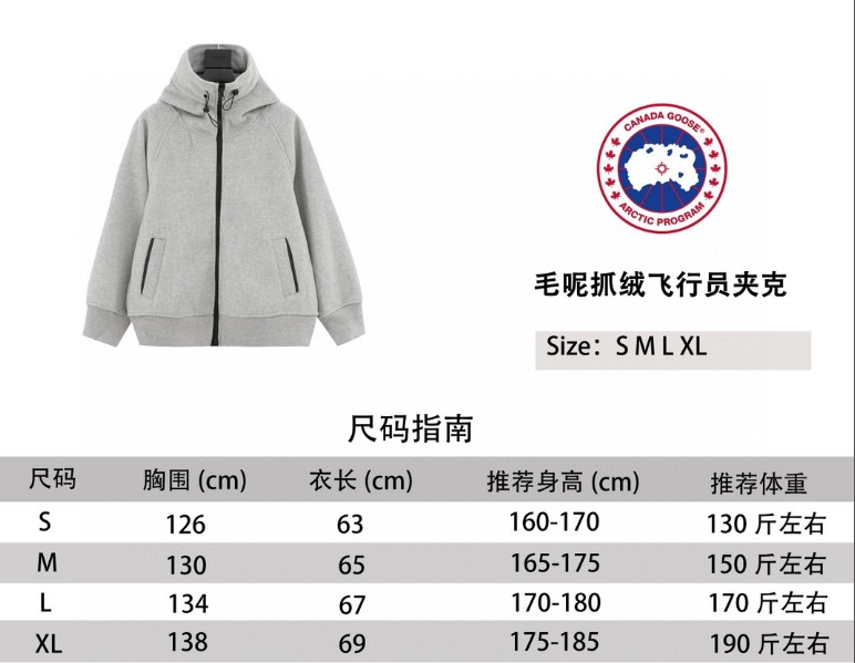 Can*a G00se  Chilliwack 2024