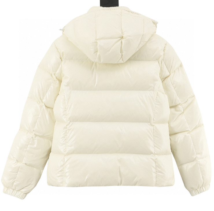 Moncler Glareins Down Jacket 2025
